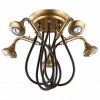 Потолочная люстра Lussole TOPGRADE Merrick LSP-9755. Фото №1