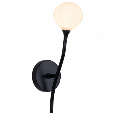 Бра Favourite Suri 2688-1W. Фото