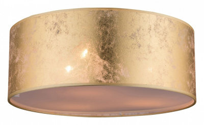 Накладной светильник Globo Amy 15187D фото Накладной светильник Globo Amy 15187D. Фото №2