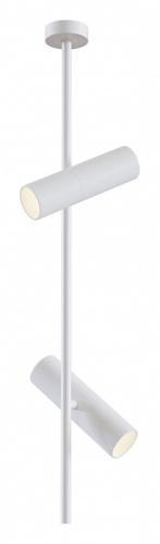 Светильник на штанге Maytoni Elti C021CL-02W фото Светильник на штанге Maytoni Elti C021CL-02W. Фото №1