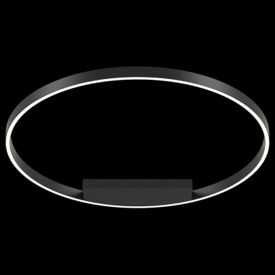 Накладной светильник Maytoni Rim MOD058CL-L50B4K. Фото №2