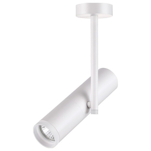 Светильник на штанге Novotech Batra 370572. Фото №1