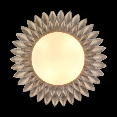 Накладной светильник Maytoni Lamar H301-04-G. Фото №2